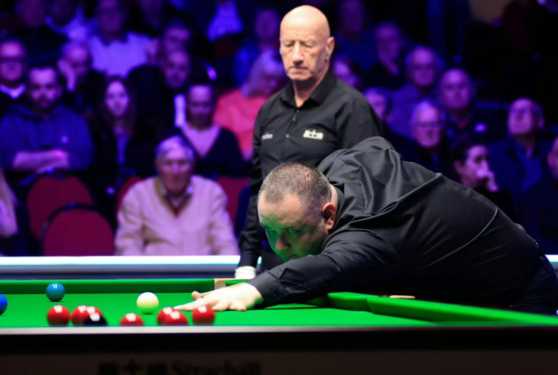 不可或缺的 不可或缺的