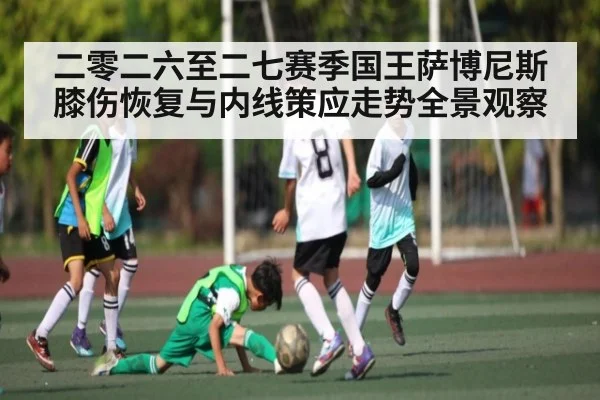 二零二六至二七赛季国王萨博尼斯膝伤恢复与内线策应走势全景观察