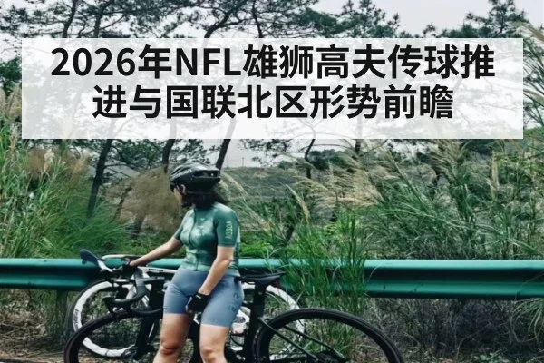 2026年NFL雄狮高夫传球推进与国联北区形势前瞻